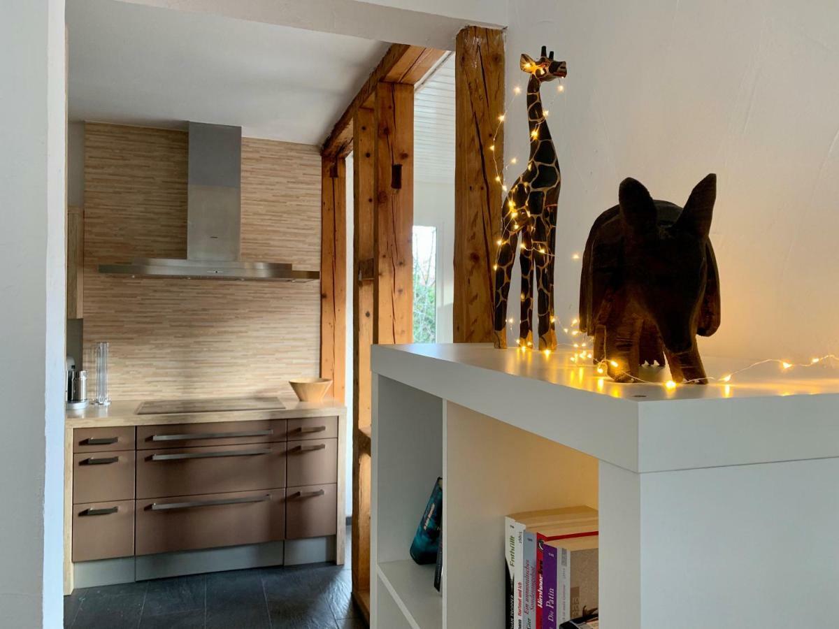 Deluxe Business City Apartments Metzingen Villa Landenberger エクステリア 写真