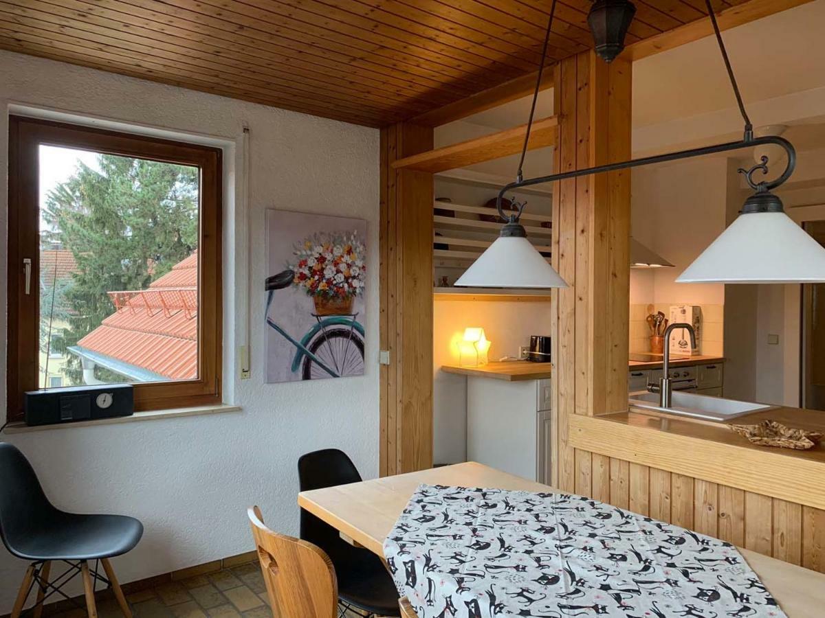 Deluxe Business City Apartments Metzingen Villa Landenberger エクステリア 写真