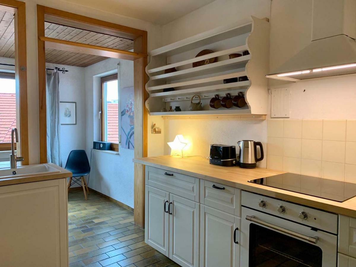 Deluxe Business City Apartments Metzingen Villa Landenberger エクステリア 写真