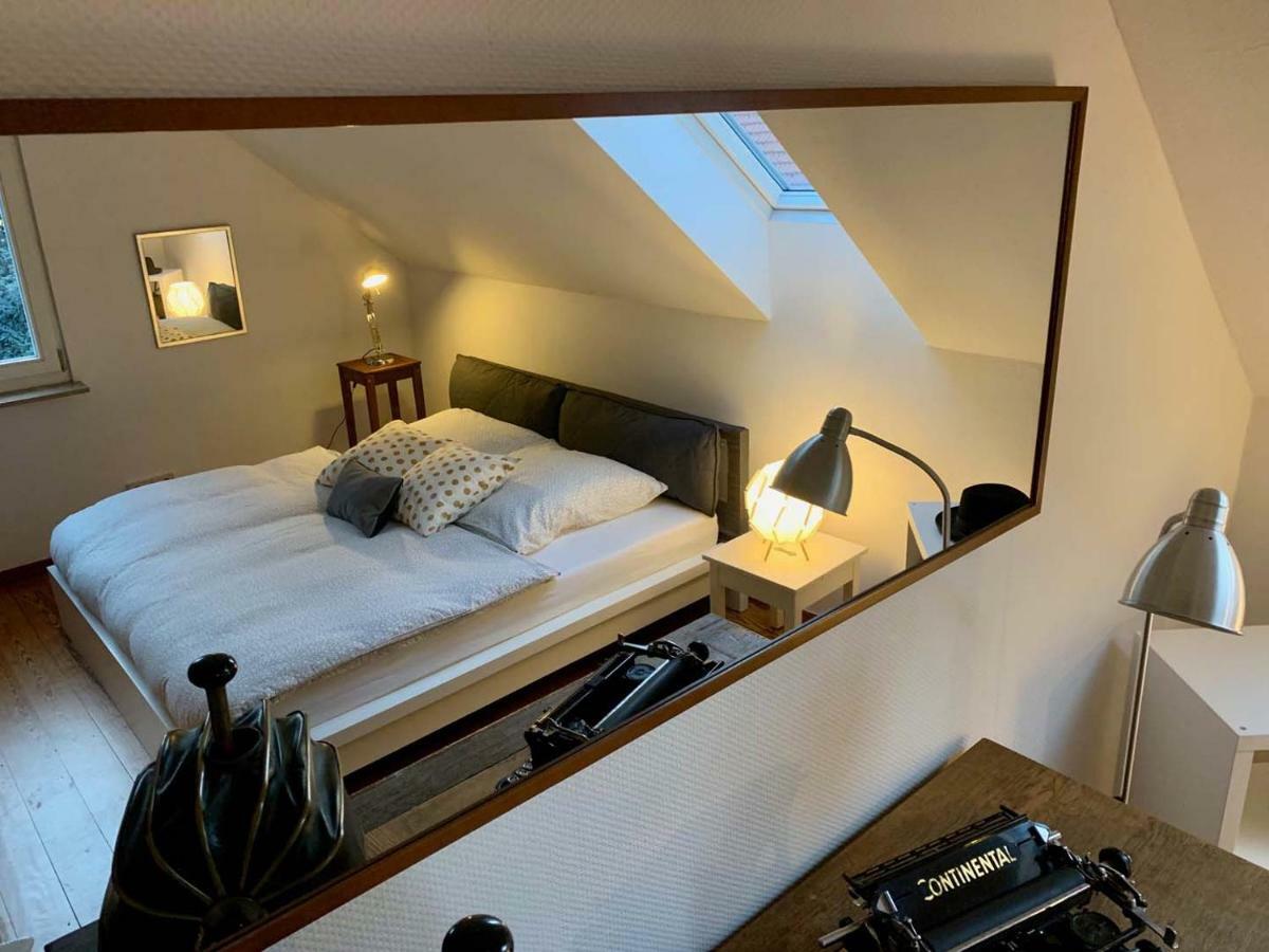 Deluxe Business City Apartments Metzingen Villa Landenberger エクステリア 写真