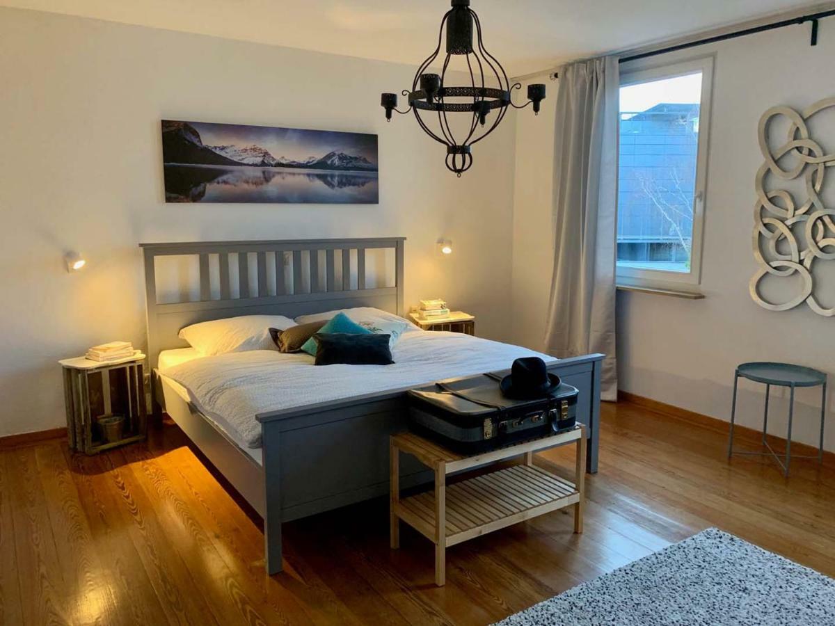 Deluxe Business City Apartments Metzingen Villa Landenberger エクステリア 写真